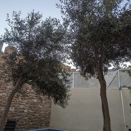 Aghata Palms Riad Essaouira Exterior photo