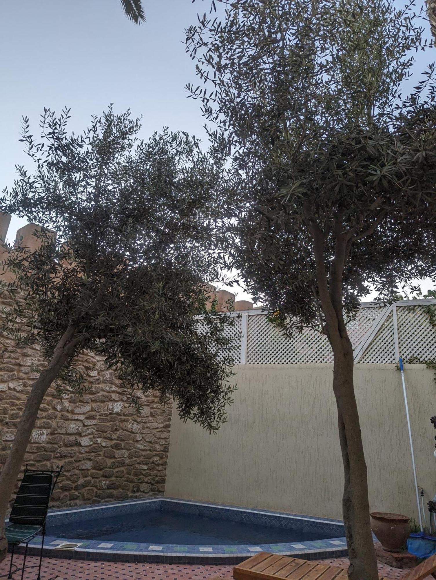 Aghata Palms Riad Essaouira Exterior photo
